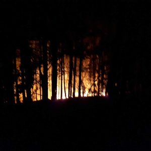 Komuna e Strugës:Kjo është situata pas zjarrit ndërmjet fshatrave Pohum – Dollogozhdë – Tatesh