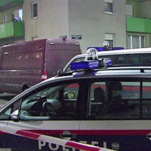 Austri,shqiptari vret gruan në prani të dy fëmijëve të mitur