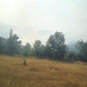 Foto Lajm:Zjarri i afrohet fshatit Pohum!