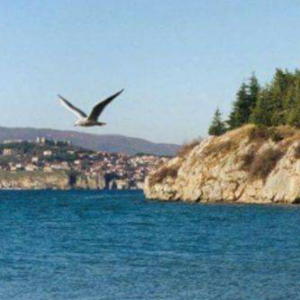 Liqenin e Ohrit do ta analizojnë shkencëtarë nga Maqedonia dhe Hungaria!