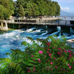 Sezonin Struga e nis  pothuajse pa ujë të pijshëm (VIDEO)