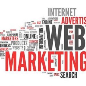 Marketingu online domosdoshmëri apo nevojë e kohës?