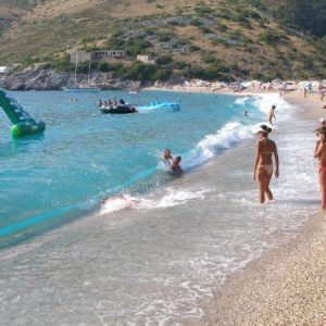 Ngjarje e pazakontë: Delfini i ngordhur në bregdetin shqiptar (FOTO)