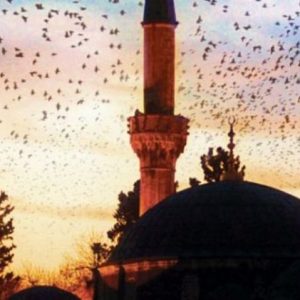 Dita e parë e Kurban Bajramit, ditë jopune për qytetarët e besimit islam