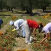 Italia kërkon punëtorë shqiptarë, ja si mund të aplikoni!