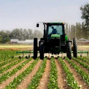 Ministria e Bujqësisë: Vazhdohet afati për aplikim për subvencione për vitin 2024