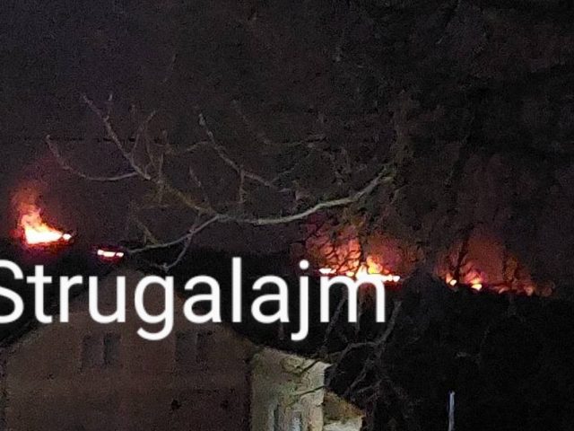 Zjarr i madh në malin në afërsi të Dollogozhdës(Foto)