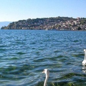 Gjendet i mbytur një njeri në ujrat e liqenit të Ohrit