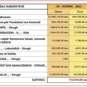 Lulzim Nasufi:Ja si i harxhon paratë Non Grata i Strugës-600 mijë euro ka derdhur për “infrastrukturën” për një muaj