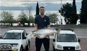 Peshkatari kap koranin mbi 13 kg në liqenin e Pogradecit, ia shiti një…